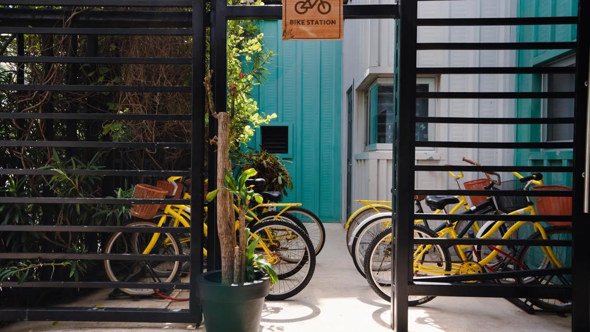 Hostel Mayan Monkey Cancun